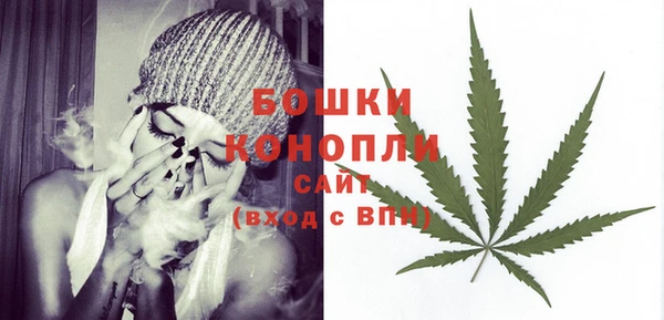 ECSTASY Ельня